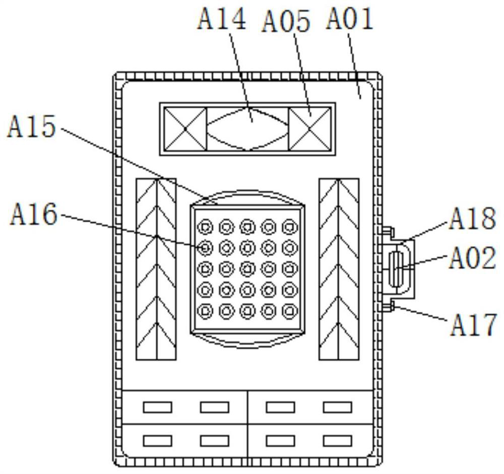 Chest X-ray display device with adjusting mechanism