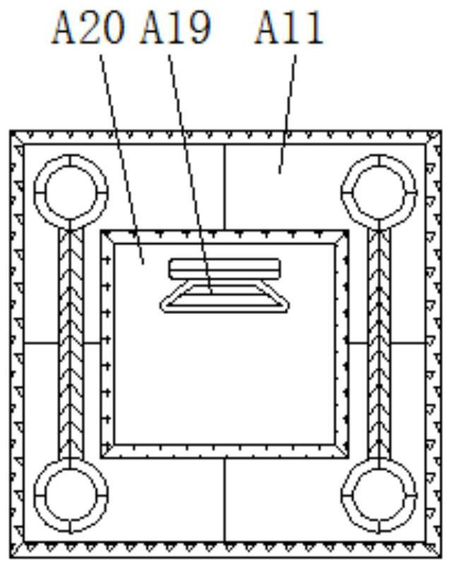 Chest X-ray display device with adjusting mechanism