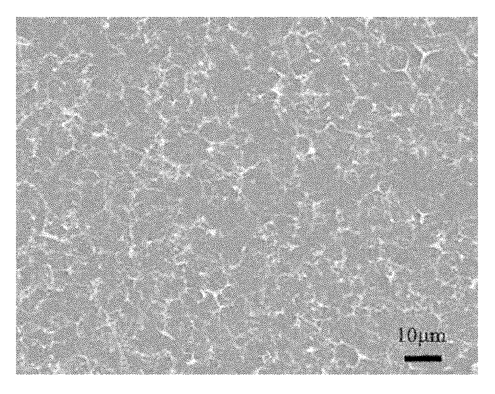 Method for realizing self-assembly of zinc oxide nanometer wires