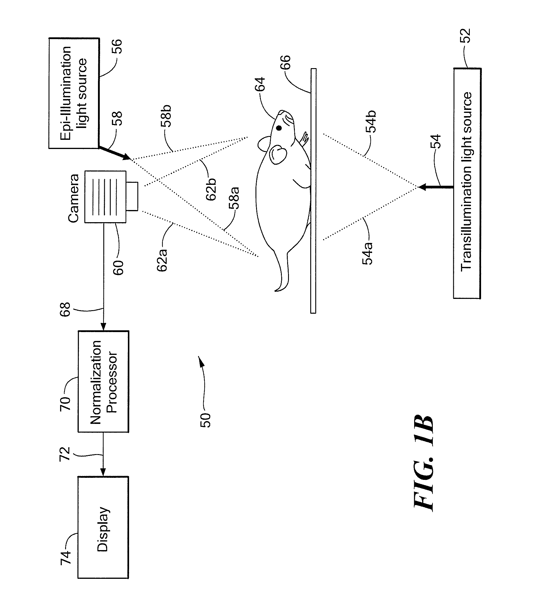 System and Method for Normalized Diffuse Emission Epi-illumination Imaging and Normalized Diffuse Emission Transillumination Imaging