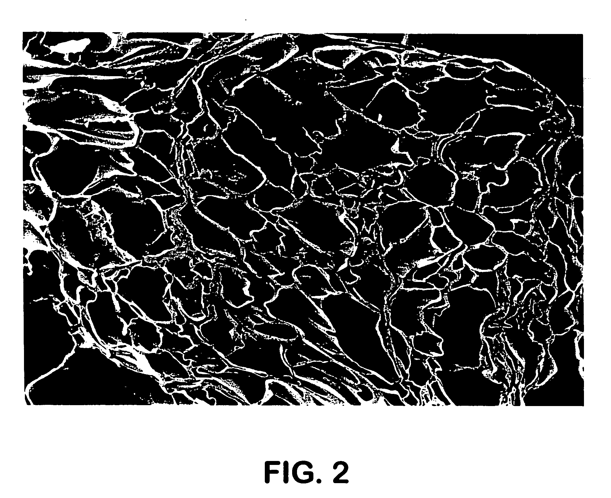 Low-density, open-cell, soft, flexible, thermoplastic, absorbent foam and method of making foam