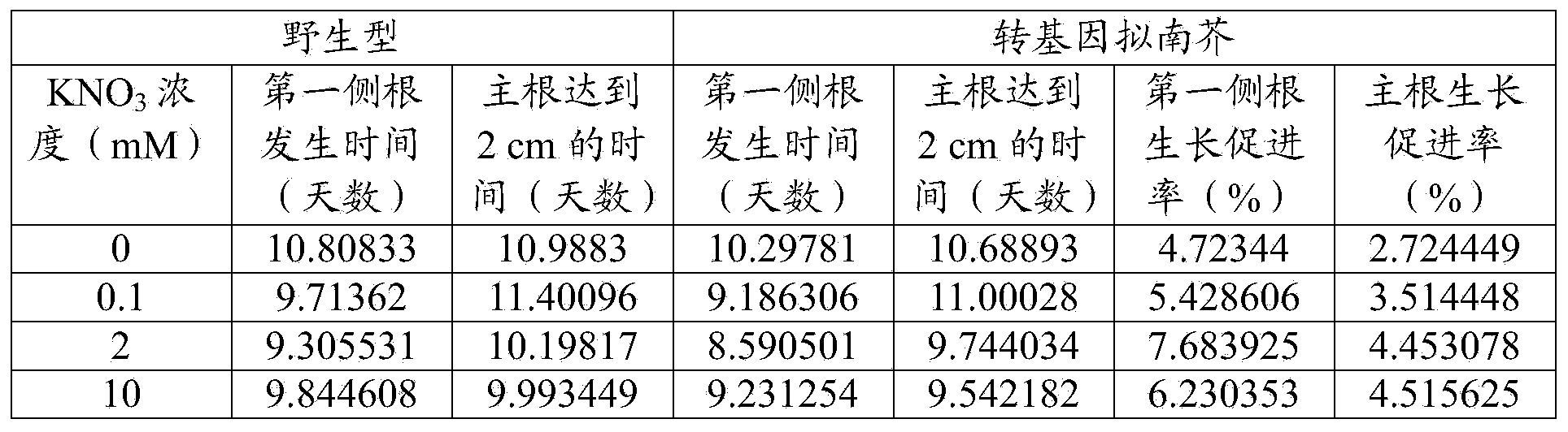 Application of paddy rice genes OsMADS27 to promoting tap root system plant lateral root growth