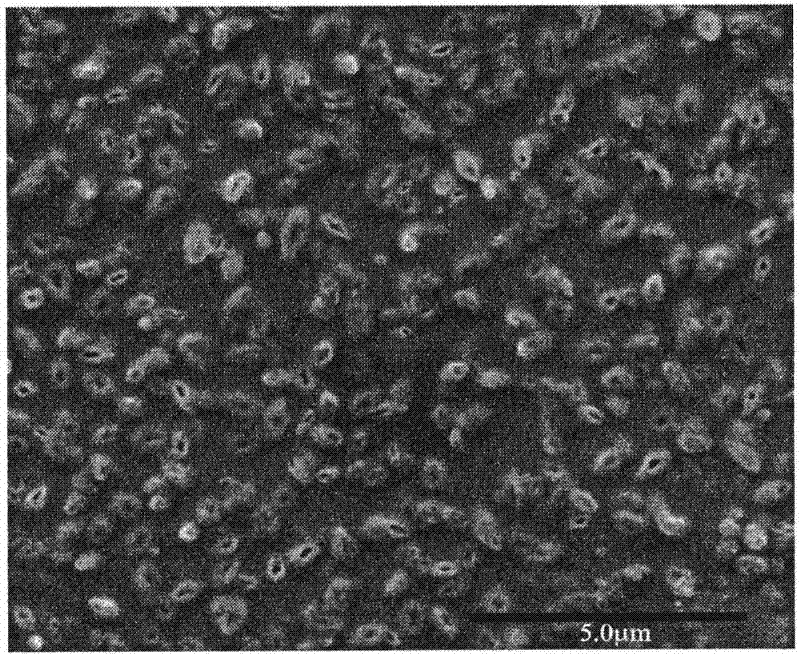 Preparation method for low excitation photochromic MoO3 censphere film