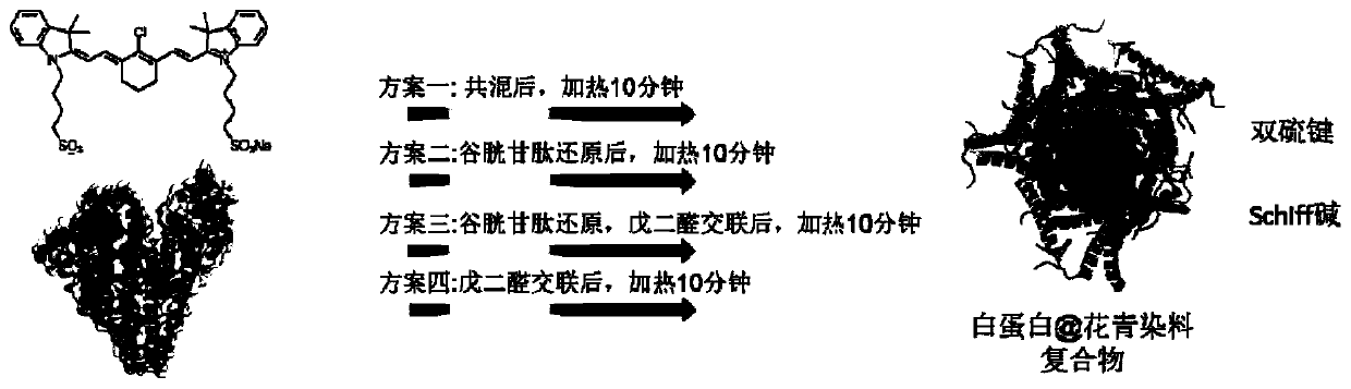 Functional protein and cyanine dye molecule compound and preparation method and application thereof