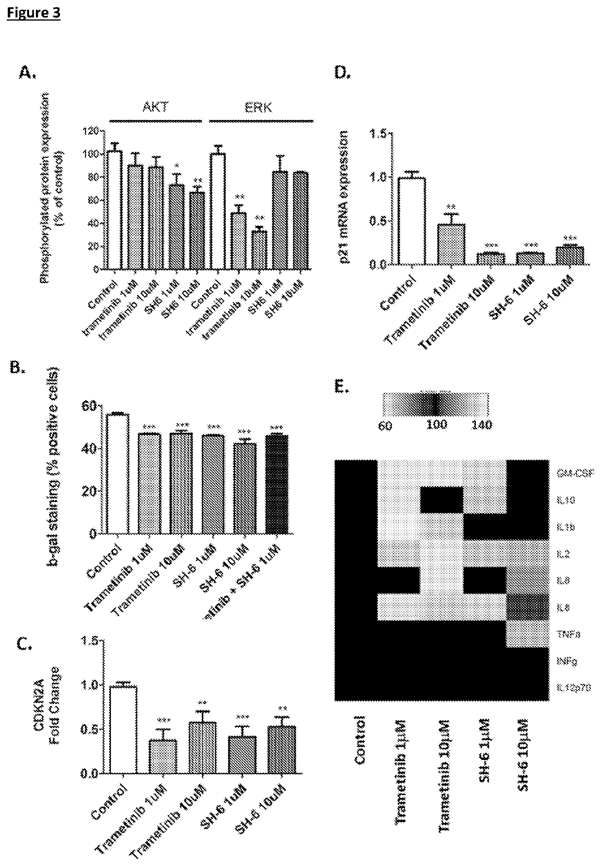 Compositions comprising intermediate non-coding RNA regulators modulating the expression of etv6 or foxo1 and uses thereof