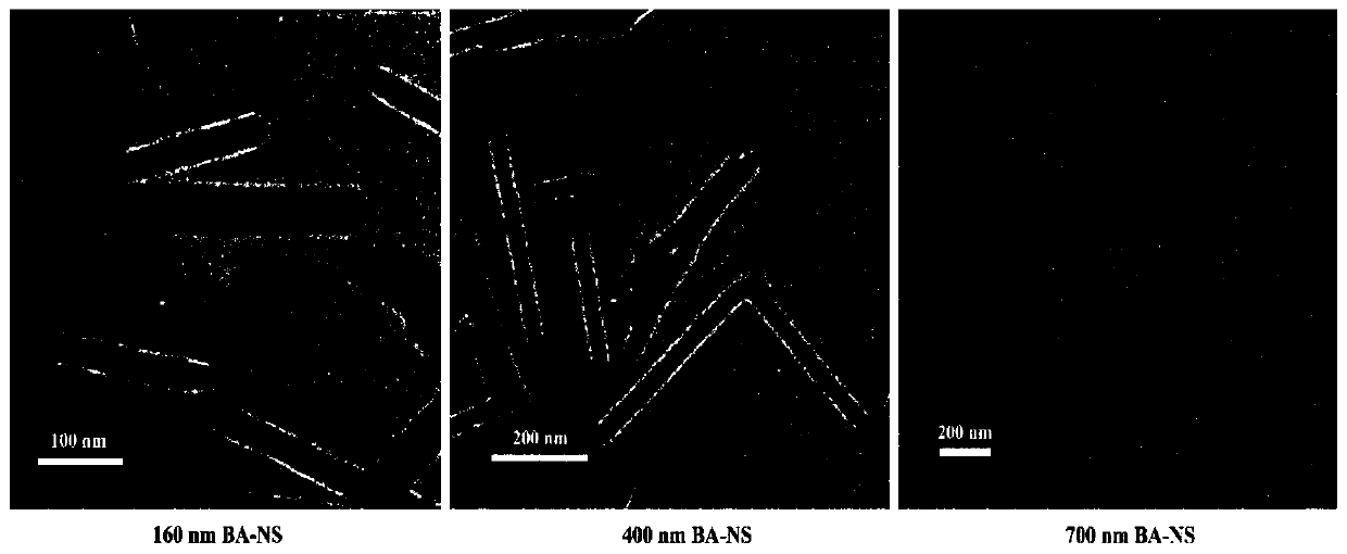 Betulinic acid nanometer suspension and preparation method thereof