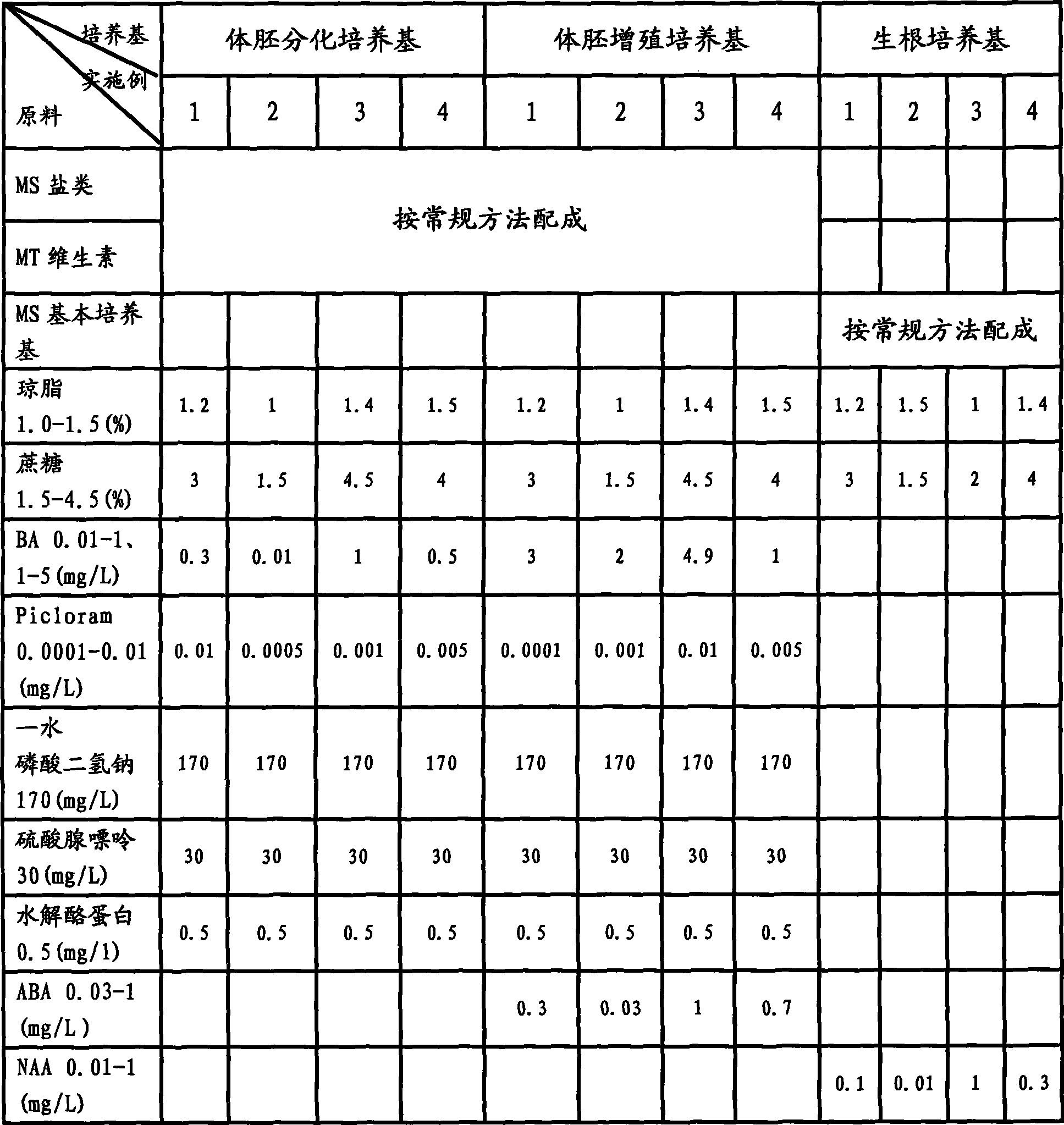 Cinnamomum kanahirai hay body embryo culture medium and tissue culture rapid propagation method