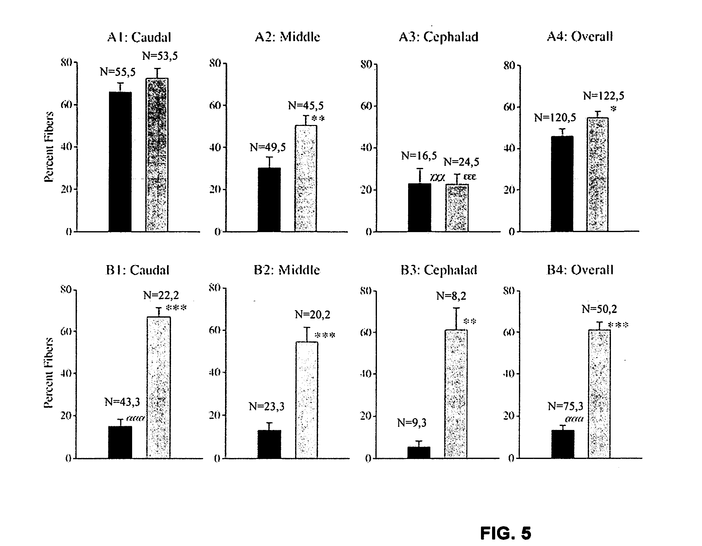 Compositions and methods for the treatment of muscular dystrophy