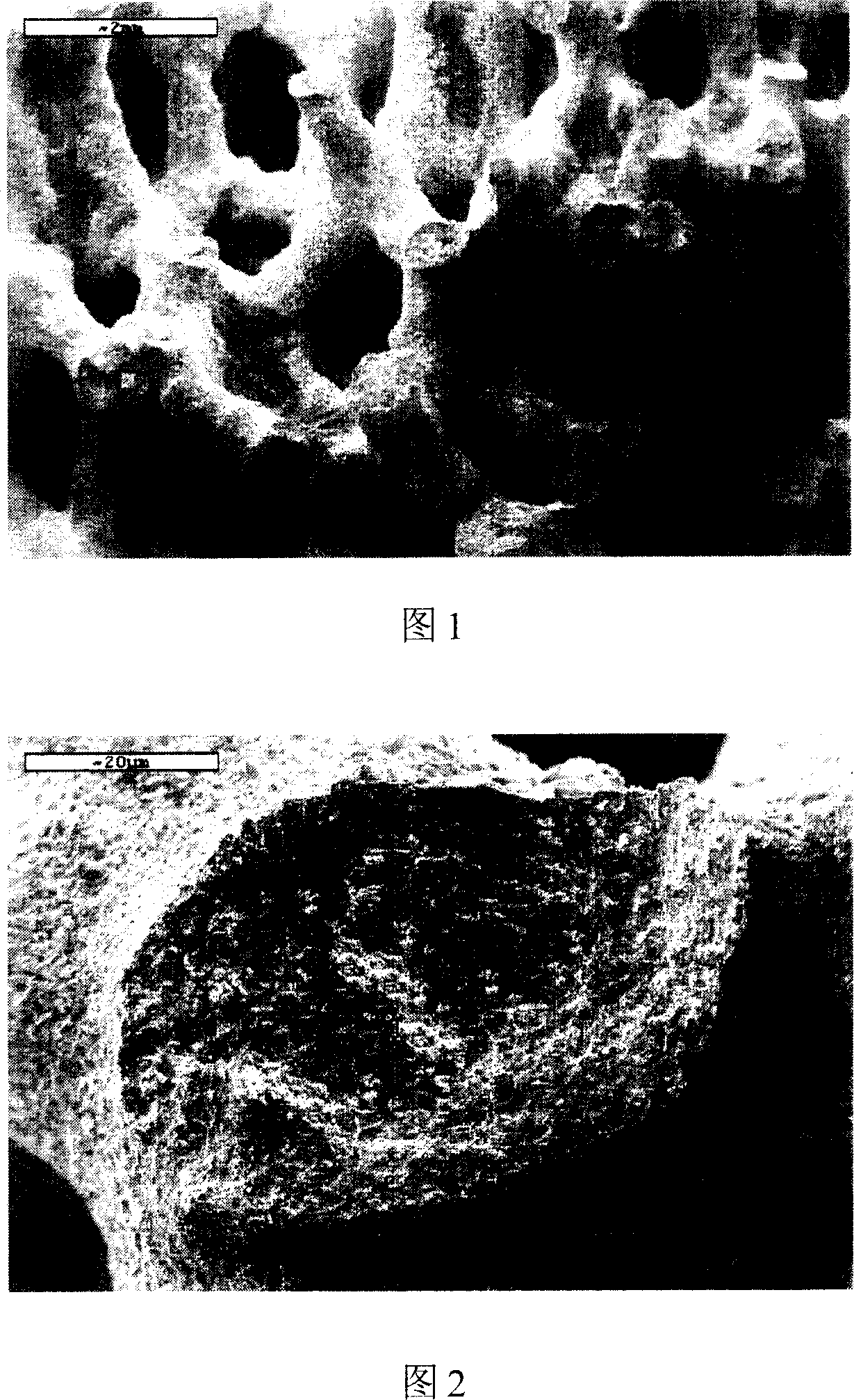 High strength and high toughness foamed SiC/Al material and its preparing method