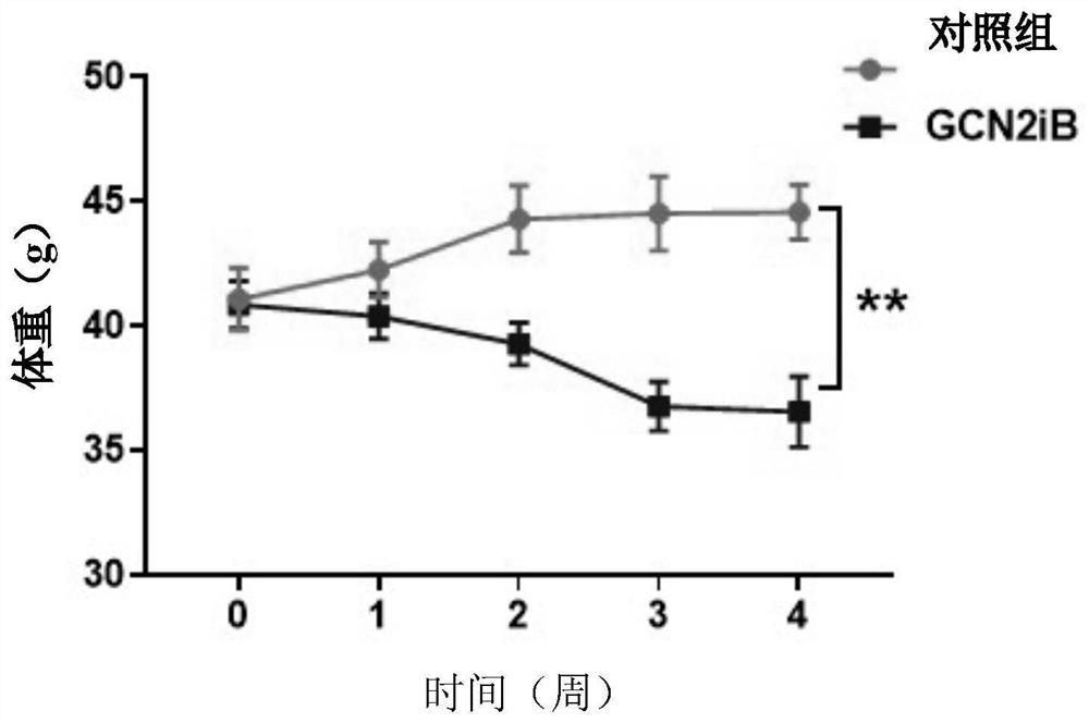 Application of compound shown in formula I in preparation of drug for treating obesity and related symptoms