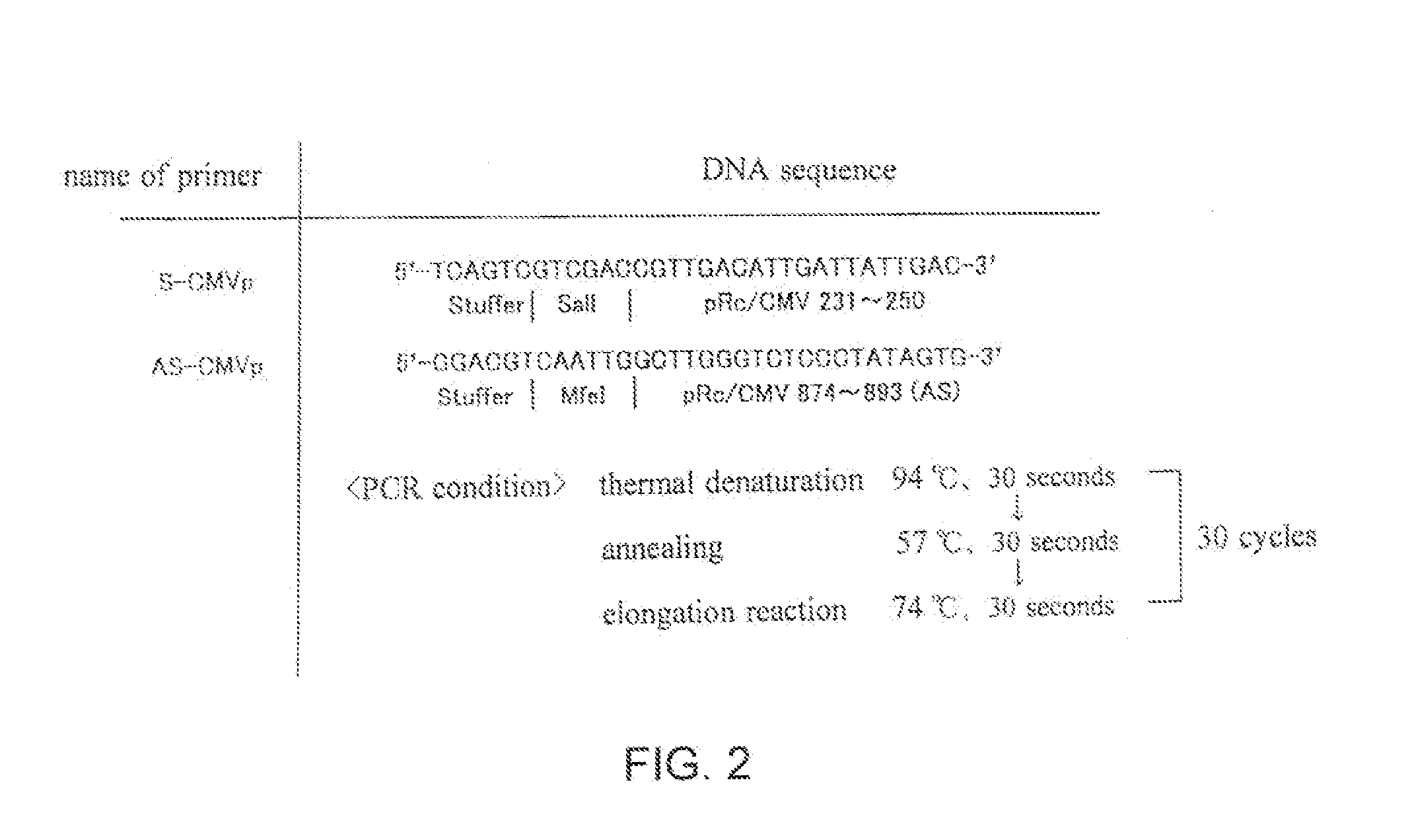 Drug Comprising As The Active Ingredient Proliferative Vector Containing Survivin Promoter