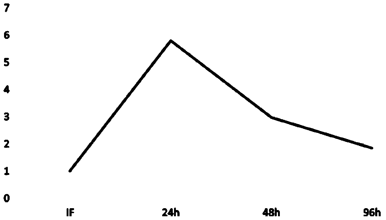 Effector protein Avh87 derived from phytophthora cinnamomi, and coding gene and application thereof