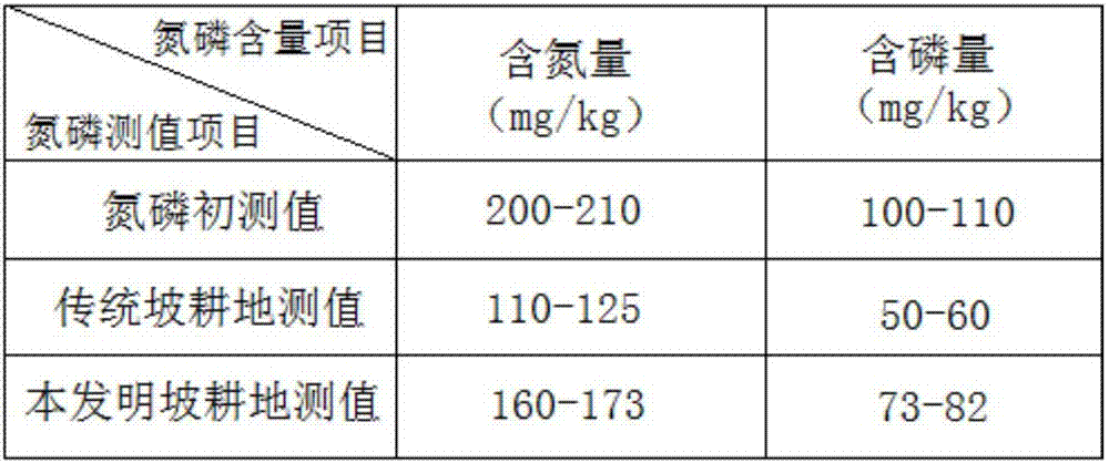 Slope cropland nitrogen and phosphorus loss preventing and control method