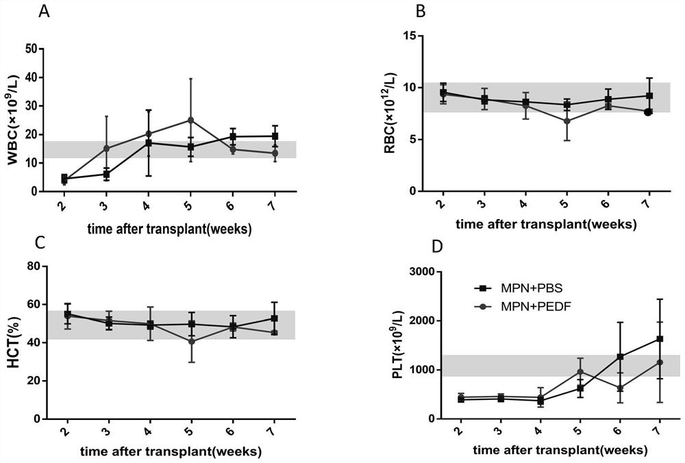 Application of pedf in preparation of medicine for treating myeloproliferative diseases