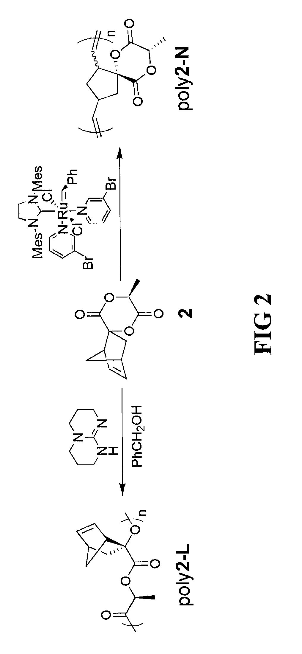 Bifunctional lactide monomer derivative and polymers and materials prepared using the same