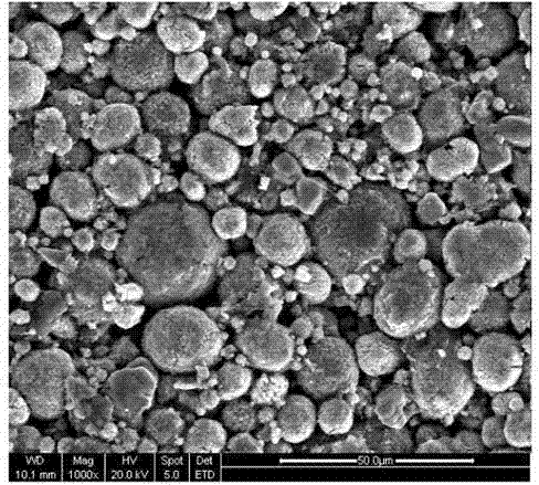 A kind of preparation method of lithium iron phosphate electrode