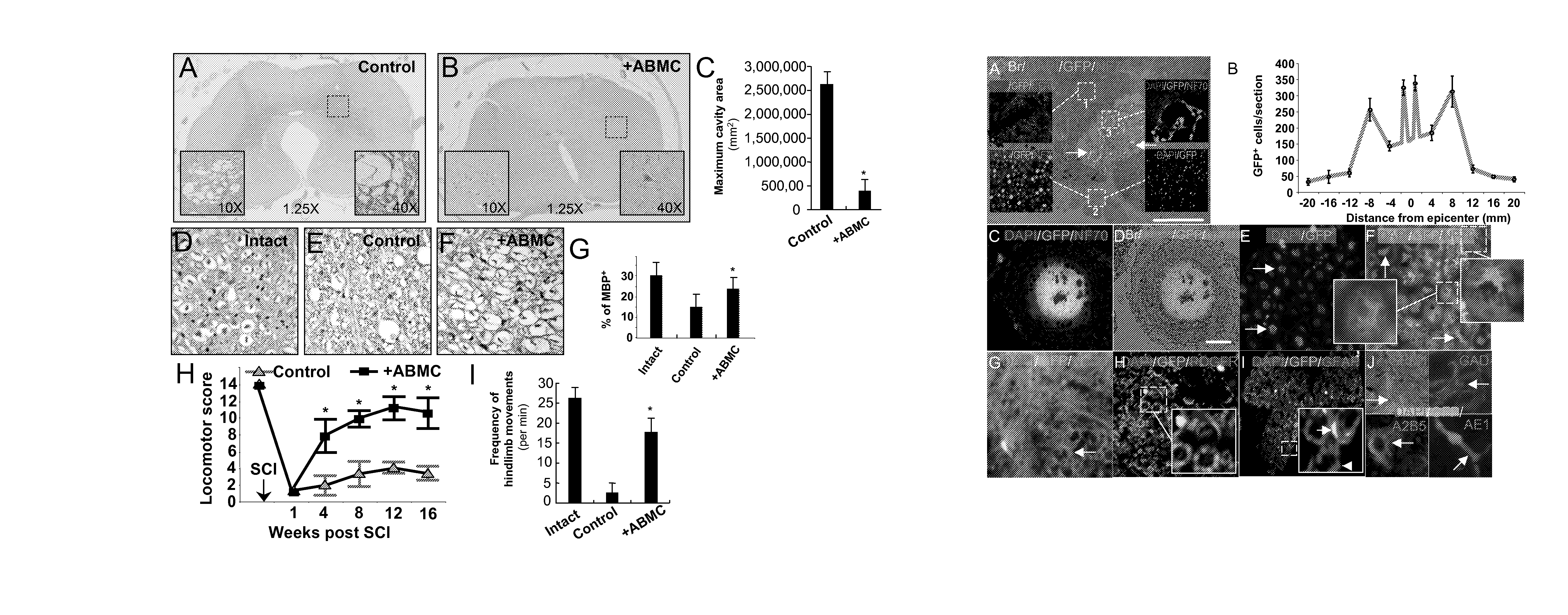 Method for treating chronic nerve tissue injury using a cell therapy strategy