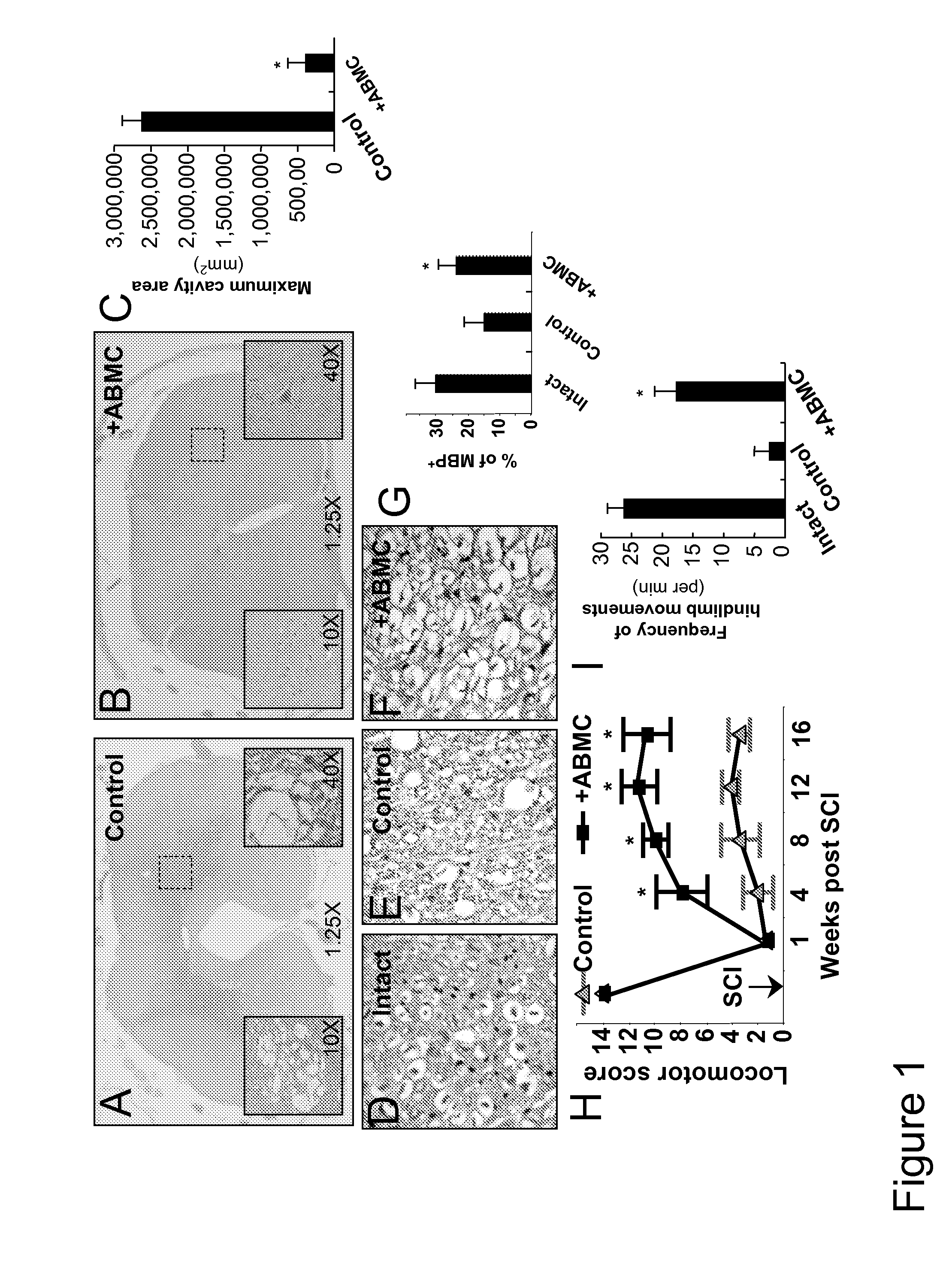 Method for treating chronic nerve tissue injury using a cell therapy strategy