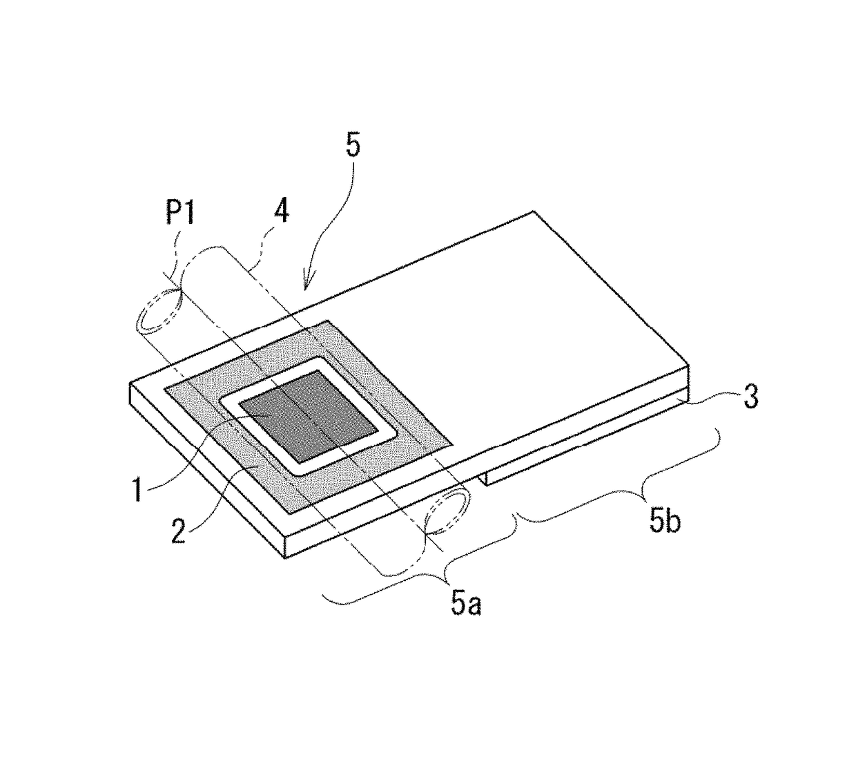 Detection device