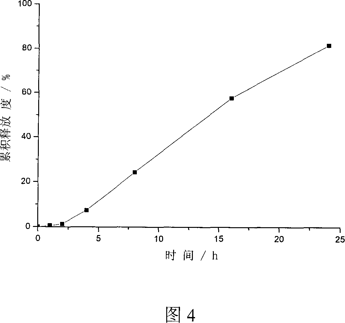 Method of producing double-layer core permeation pump patch of medicament