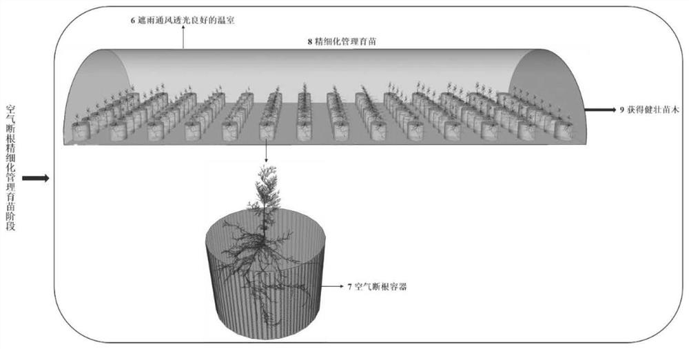 Method for rapidly and efficiently increasing survival rate of nursery stock afforestation