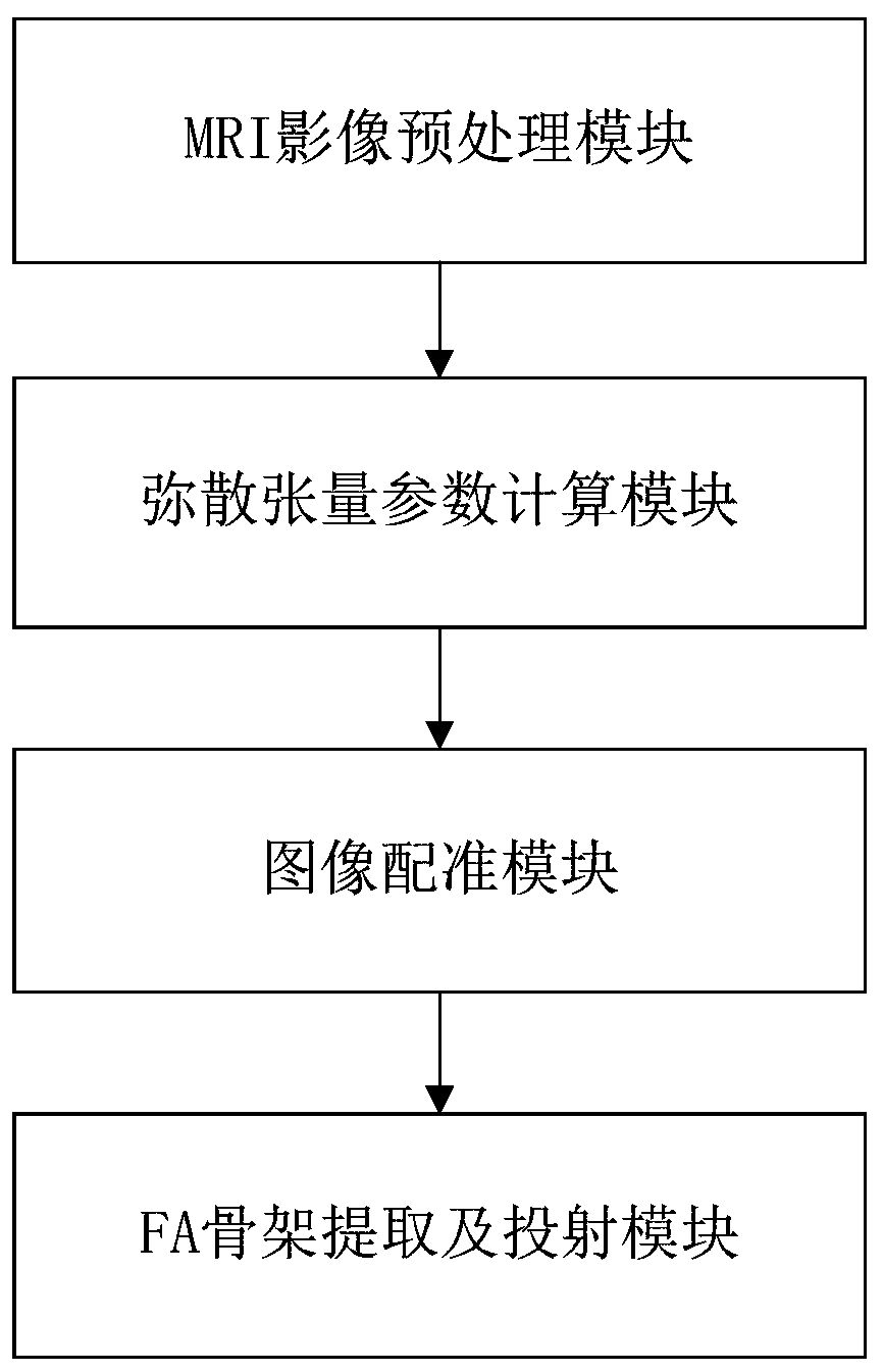 Magnetic resonance diffusion tensor brain image analysis method and system for newborns