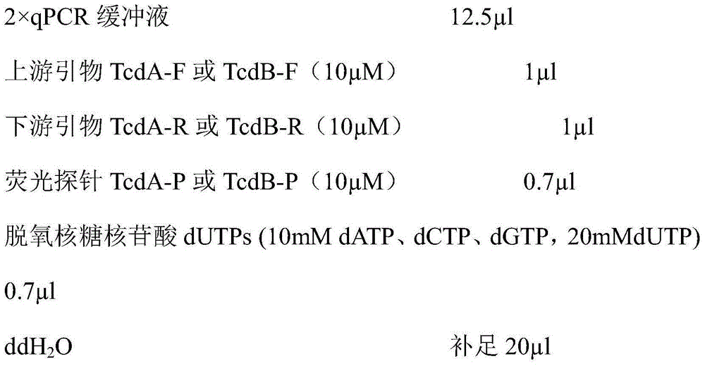 Fluorescent PCR detection method for clostridium difficile toxin genes, as well as primer and kit of fluorescent PCR detection method