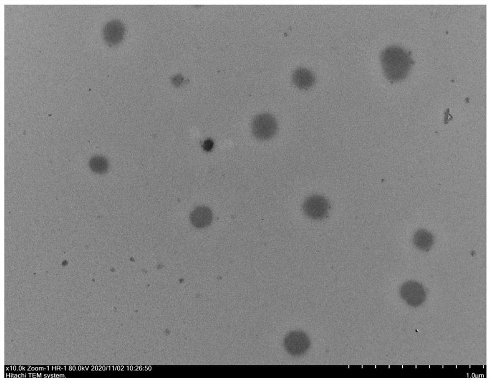 Multifunctional nano-drug carrier of targeted lactoferrin receptor, preparation method of multifunctional nano-drug carrier and drug-loading composition comprising multifunctional nano-drug carrier