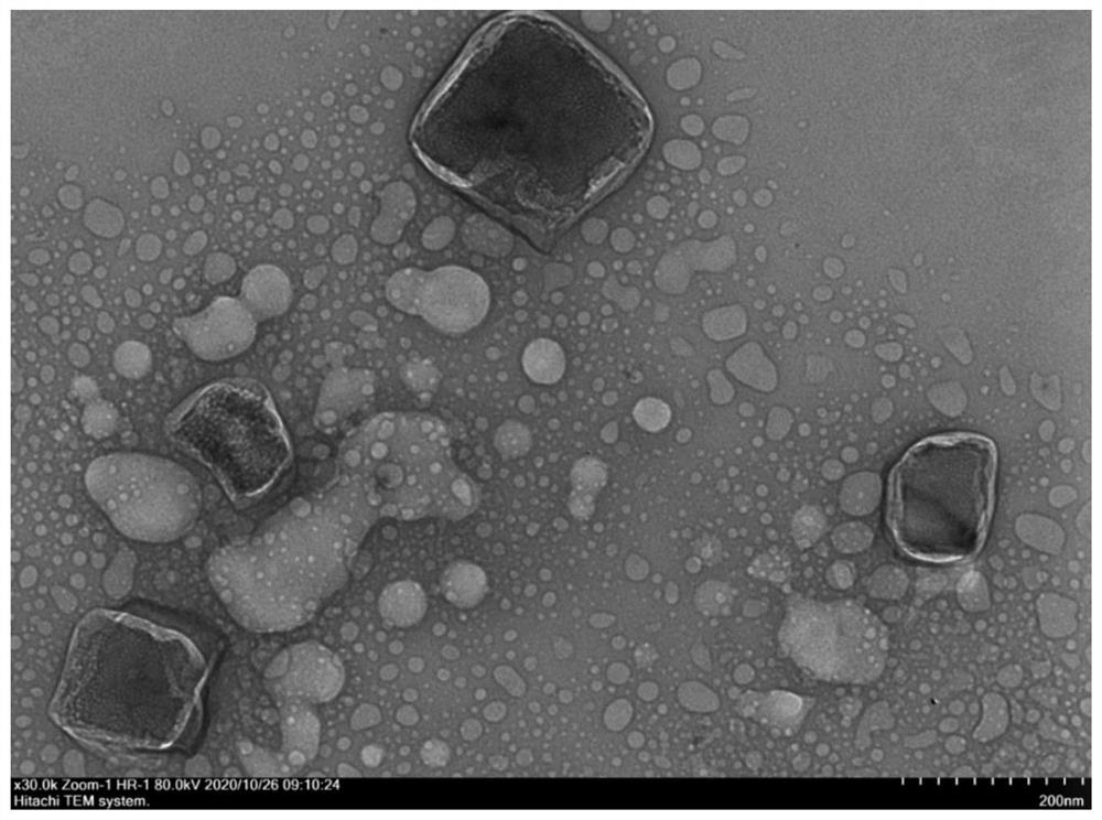 Multifunctional nano-drug carrier of targeted lactoferrin receptor, preparation method of multifunctional nano-drug carrier and drug-loading composition comprising multifunctional nano-drug carrier