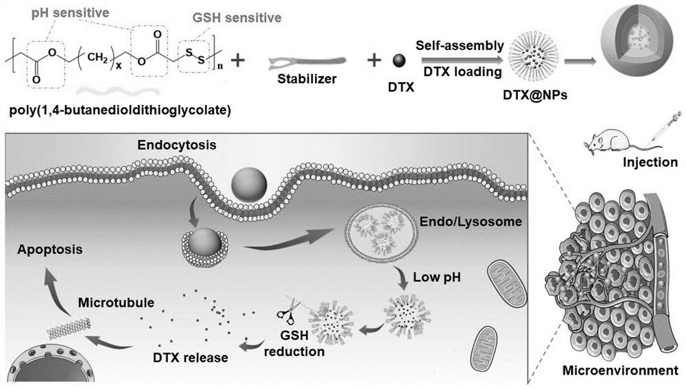 Targeting nanoparticle with GSH and esterase tumor microenvironment dual response as well as preparation method and application thereof