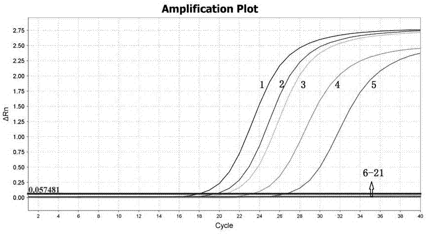 Diatom UPA (universal plastid amplicon) gene analyzing method and application thereof in legal medical expert detection