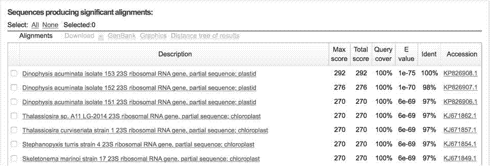 Diatom UPA (universal plastid amplicon) gene analyzing method and application thereof in legal medical expert detection