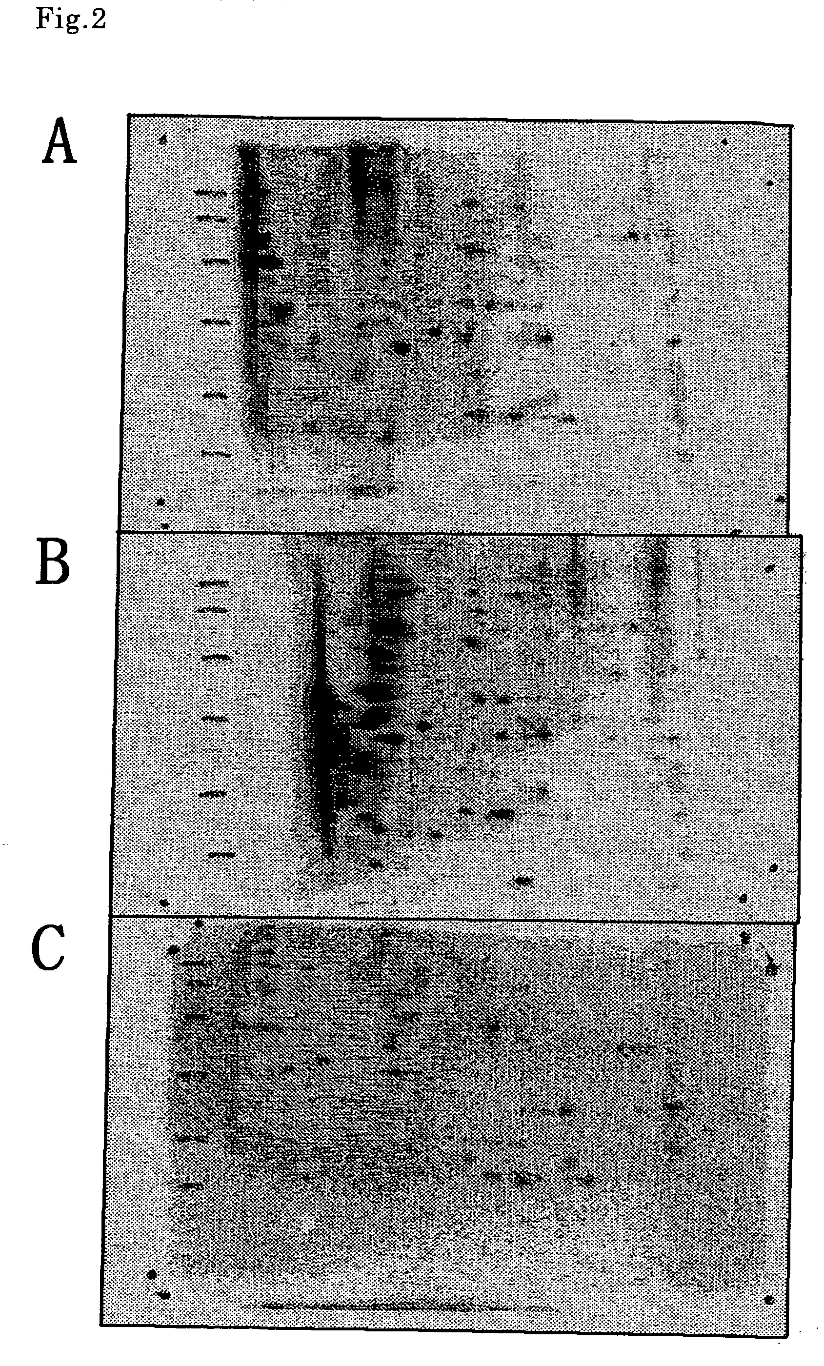 Novel screening method of indicator substance