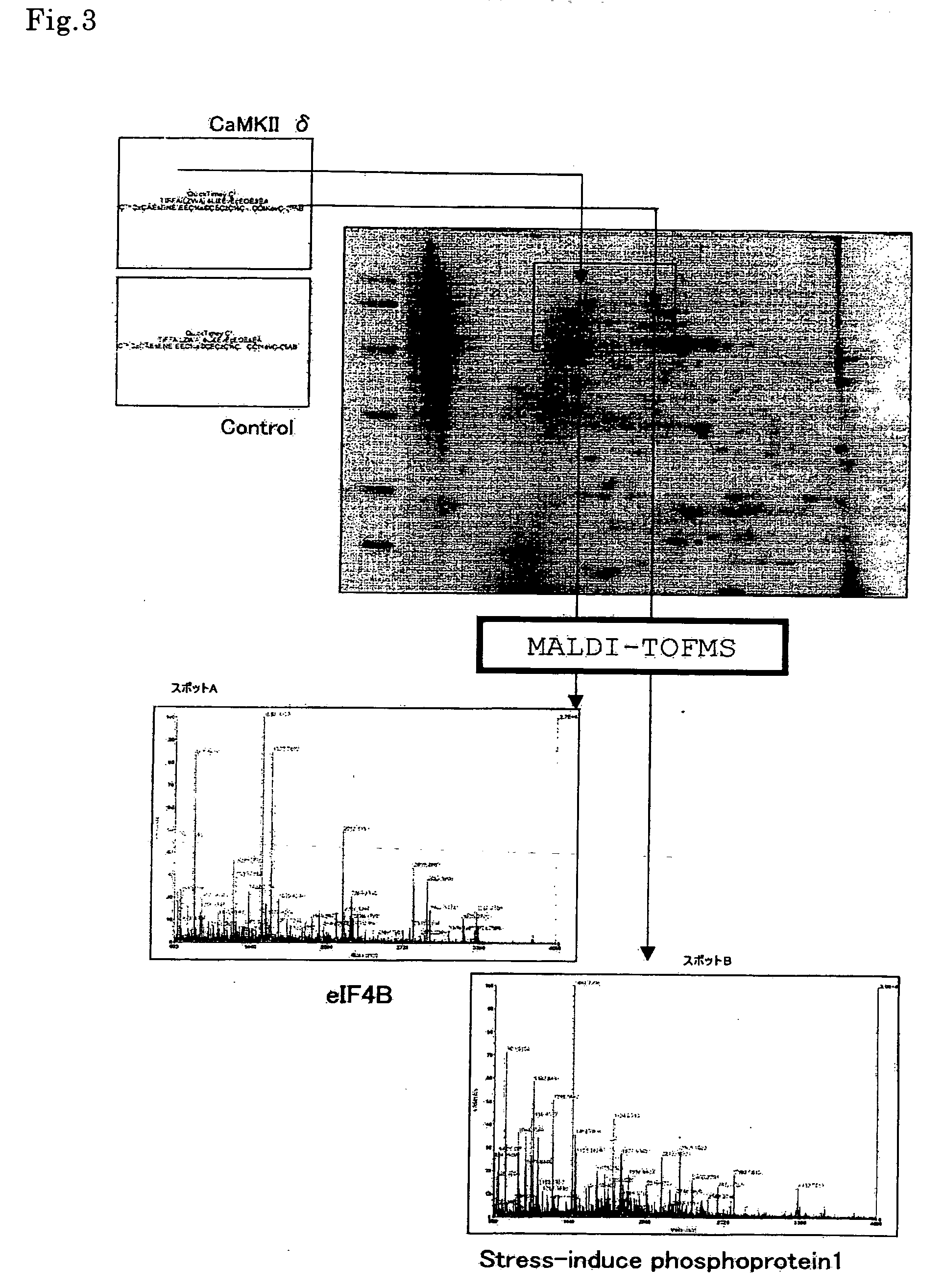 Novel screening method of indicator substance