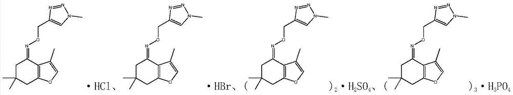 Tetrahydrobenzofuran-4-ketoxime triazole drug, preparation method and application thereof