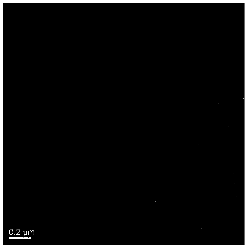 Gemcitabine-supported PEG peptide type dendritic macromolecular targeting drug delivery system and preparation method thereof