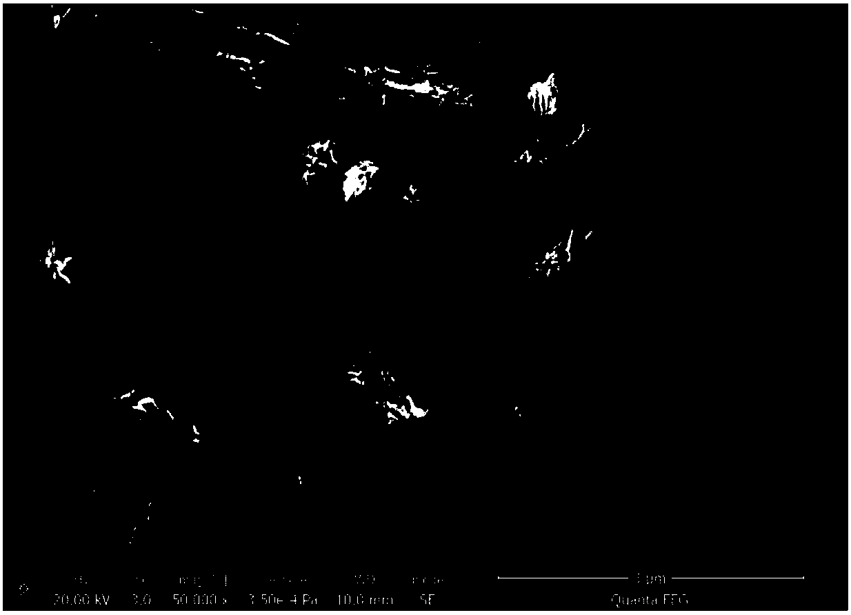 Preparation method for molybdenum disulfide-sepiolite nanofiber composite materials