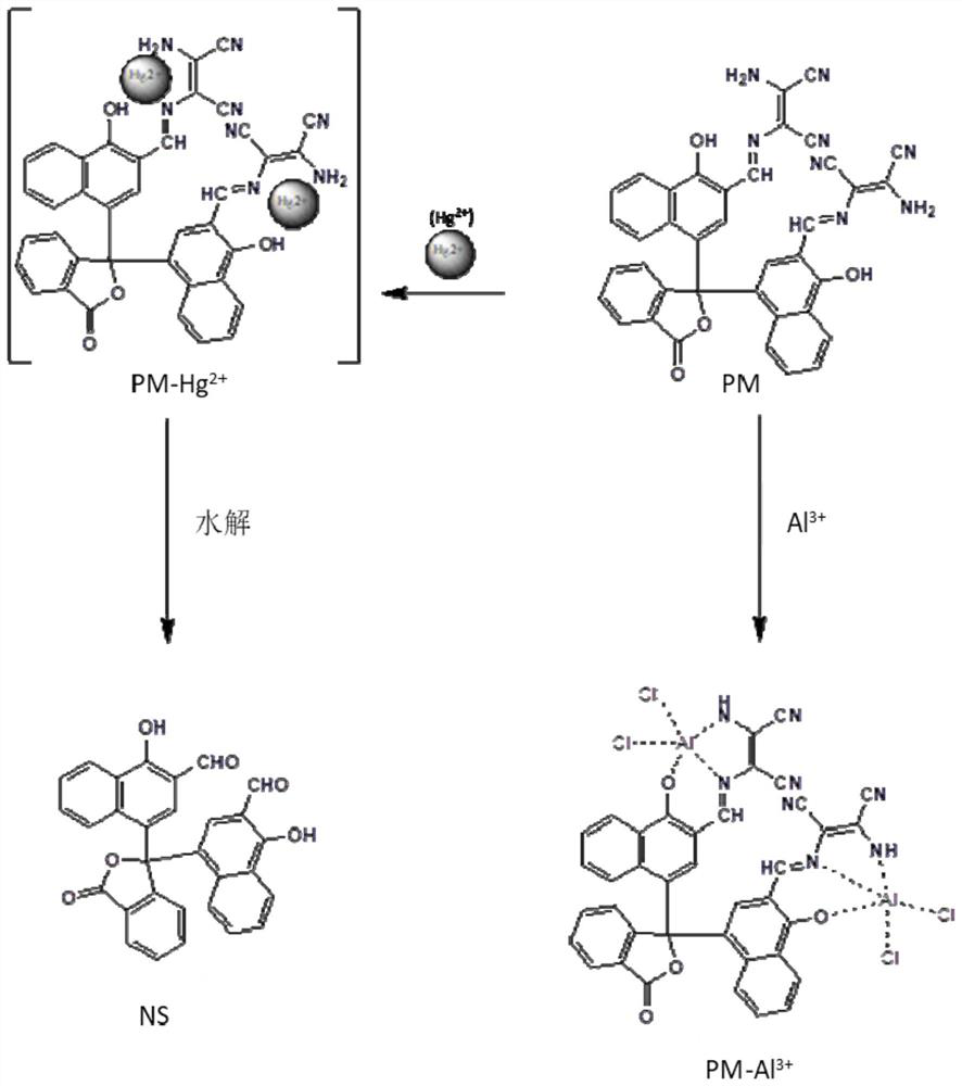 Alpha-naphtholphthalein derivative multifunctional fluorescent probe as well as preparation method and application thereof