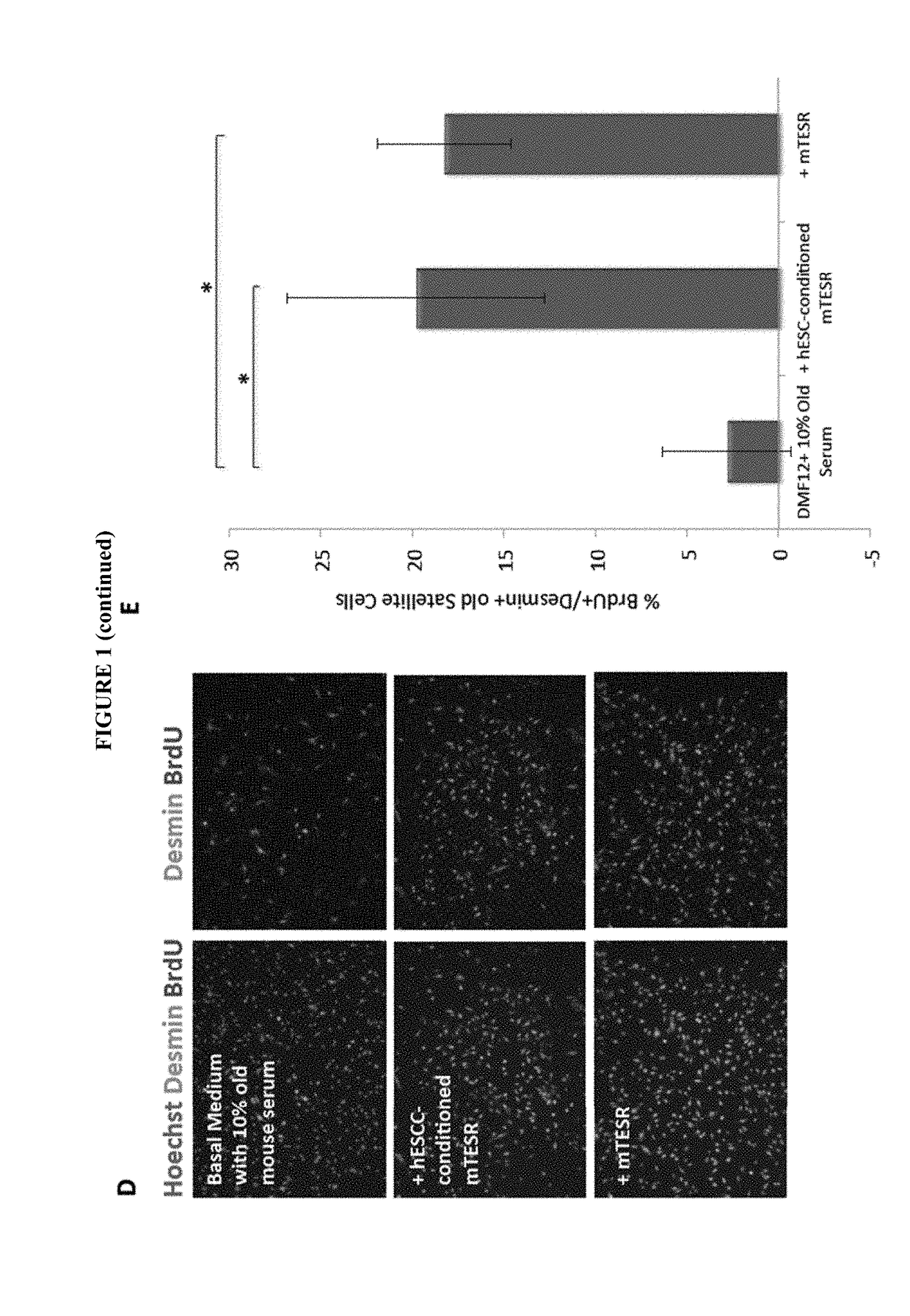 Methods and compositions for somatic cell proliferation and viability