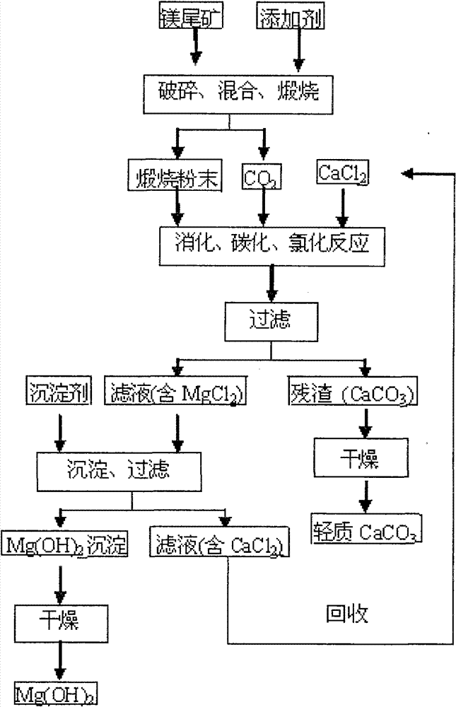 Method for preparing light calcium carbonate and magnesium hydroxide from magnesium tailings