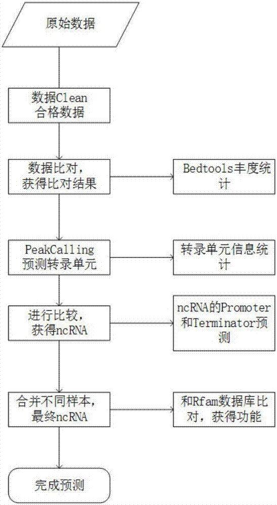 Bacteria ncRNA prediction method based on Illumina transcriptome sequencing data and PeakCalling method