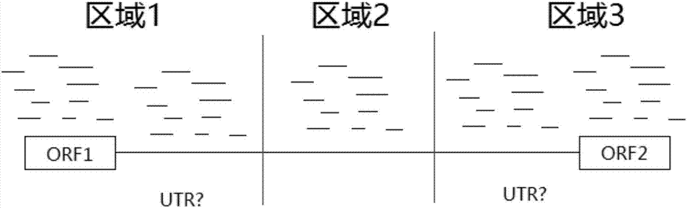 Bacteria ncRNA prediction method based on Illumina transcriptome sequencing data and PeakCalling method