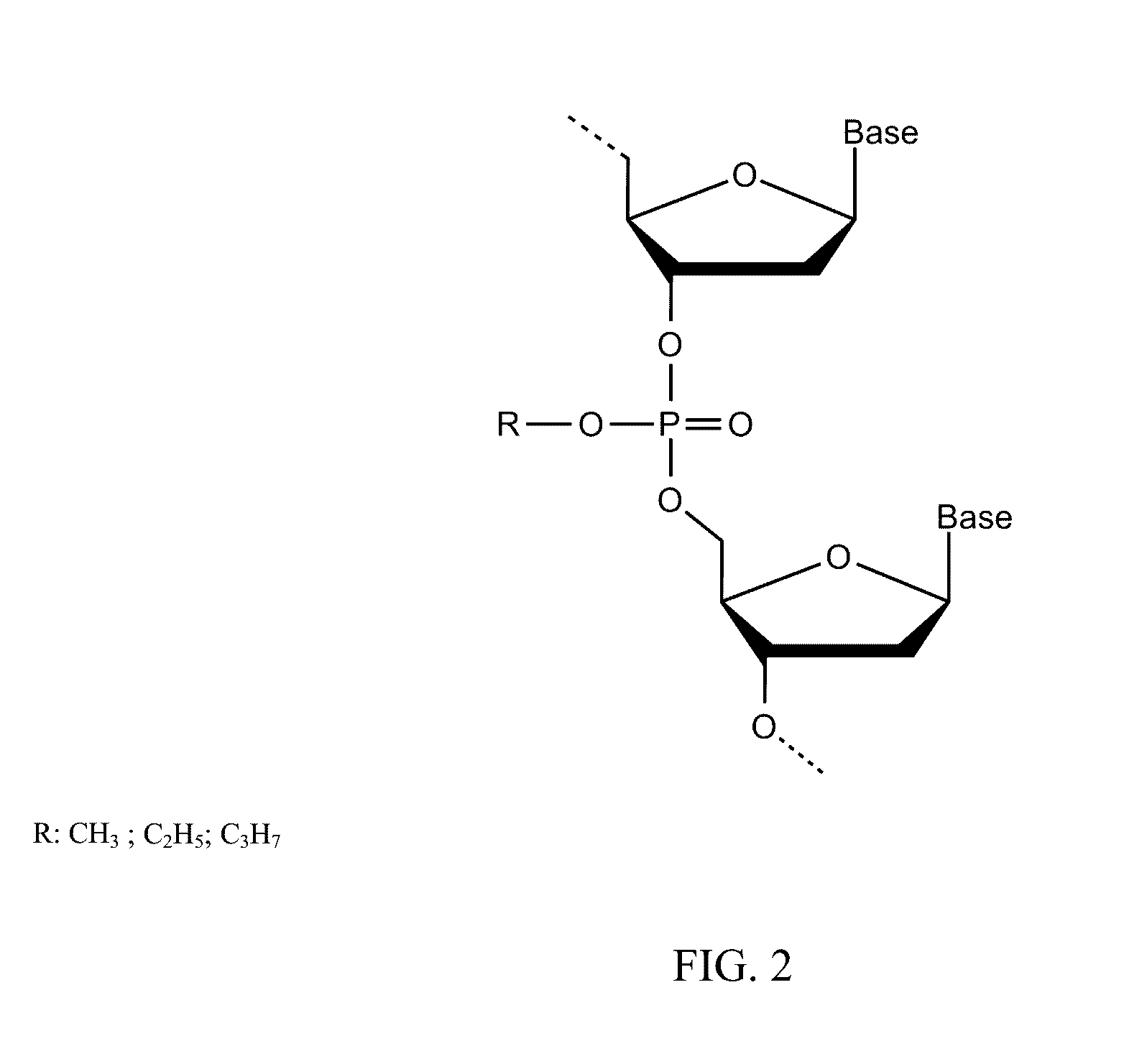 DNA Methylation Detection