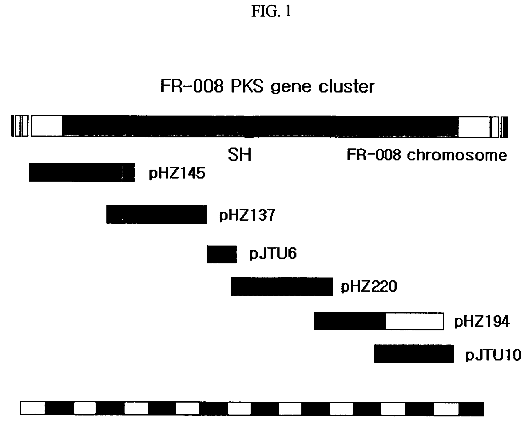 Genes for synthesis of FR-008 polyketides