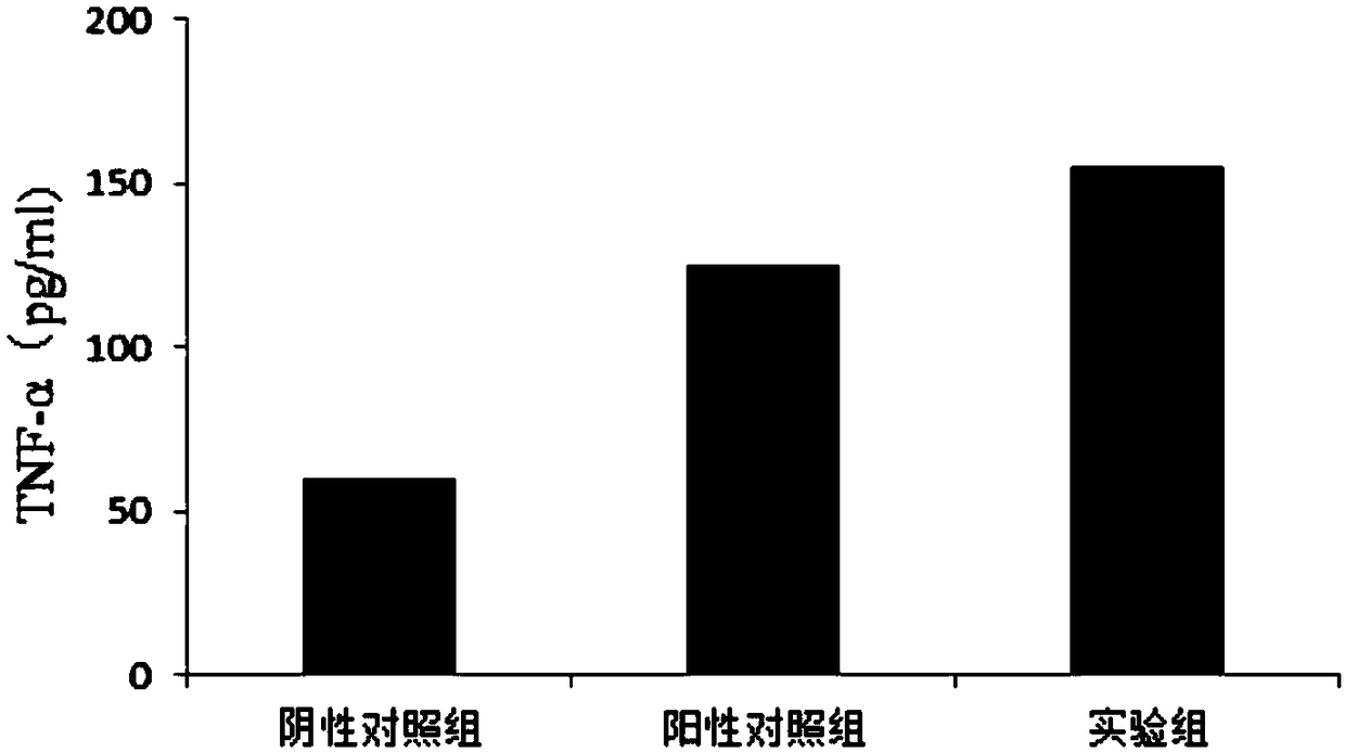 Lentinan capsule capable of efficiently amplifying NK cells in vivo, and preparation method thereof