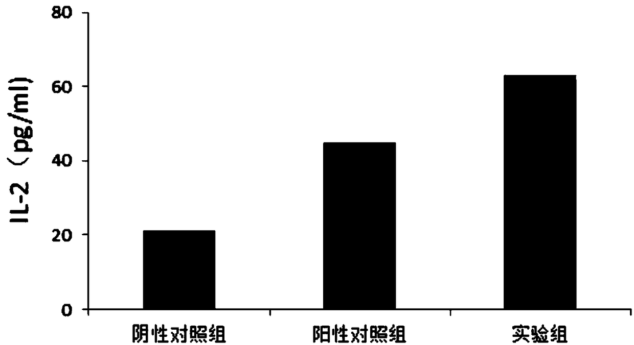 Lentinan capsule capable of efficiently amplifying NK cells in vivo, and preparation method thereof