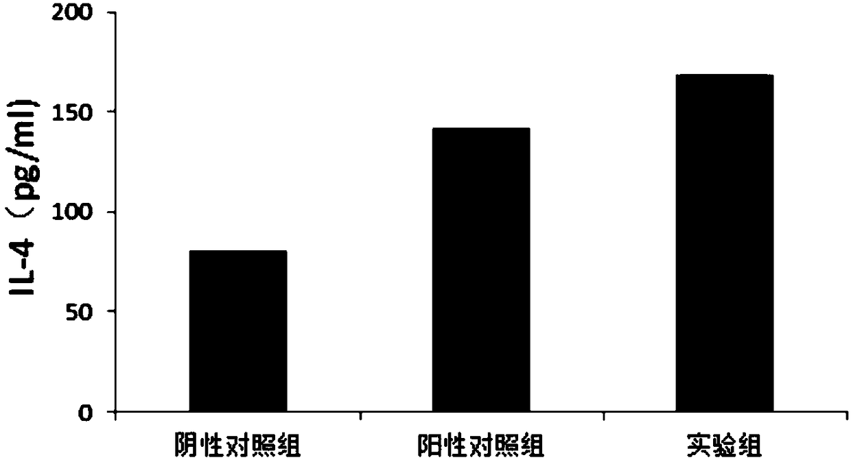 Lentinan capsule capable of efficiently amplifying NK cells in vivo, and preparation method thereof