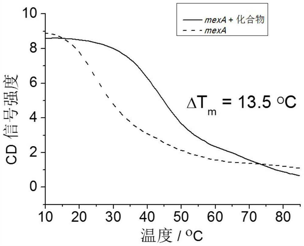 Application of 2,6-bis(2-benzimidazolyl) pyridine in preparation of carbapenem-resistant pseudomonas aeruginosa infection drug