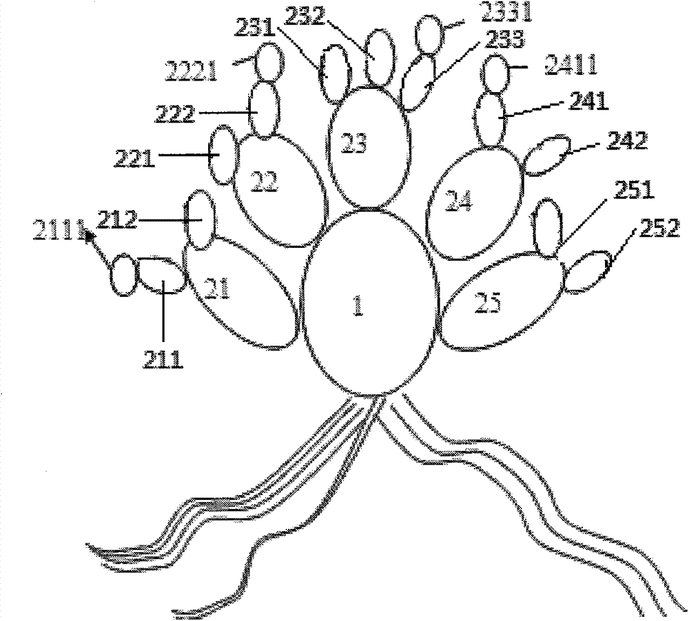 High-yield cultivation method of dactylopius coccus costa