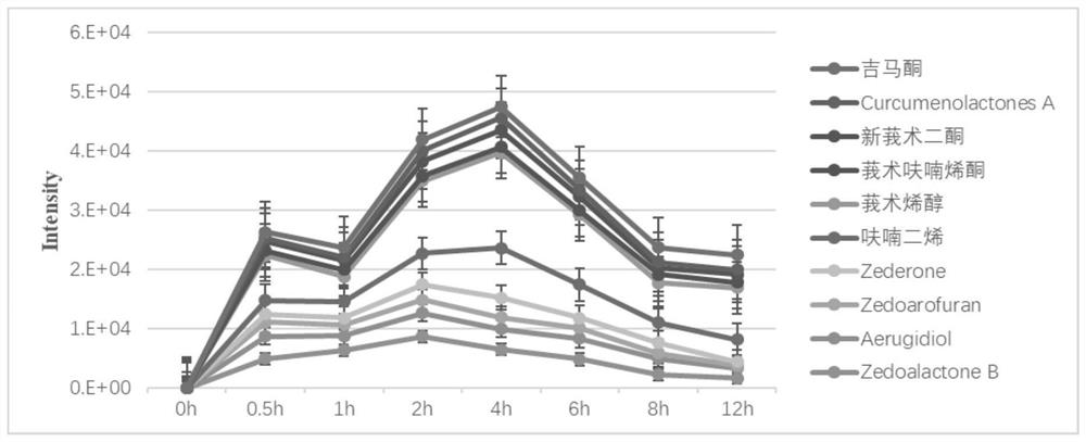 Method for screening active ingredient groups in different processed products of curcuma wenyujin by bivariate correlation analysis method